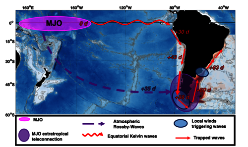 Topographically Trapped Waves around South America with periods between 40 and 130 days in a global ocean reanalysis