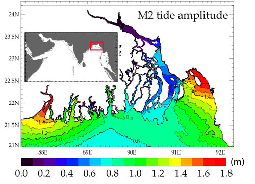 Integrated monitoring of the rivers-estuaries-ocean continuum combining satellite altimetry and hydrodynamical modeling: a case study for the Bengal delta