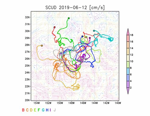 PRELIMINARY RESULTS OF FLOATECO: EXPERIMENTAL STUDY OF PHYSICAL AND BIOLOGICAL PROCESSES MAINTAINING THE FLOATING PELAGIC ECOSYSTEM