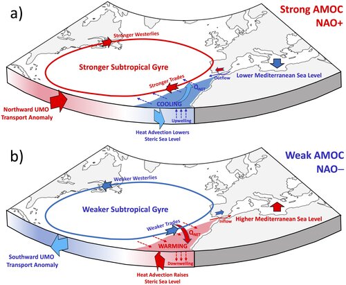 Teleconnection between the Atlantic Meridional Overturning Circulation and the Mediterranean Sea level