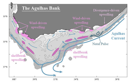 Forced vs Intrinsic variability of the Agulhas Bank circulation