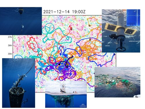 Dynamics of the North Pacific “garbage patch” observed with a suite of Lagrangian instruments for ecological applications