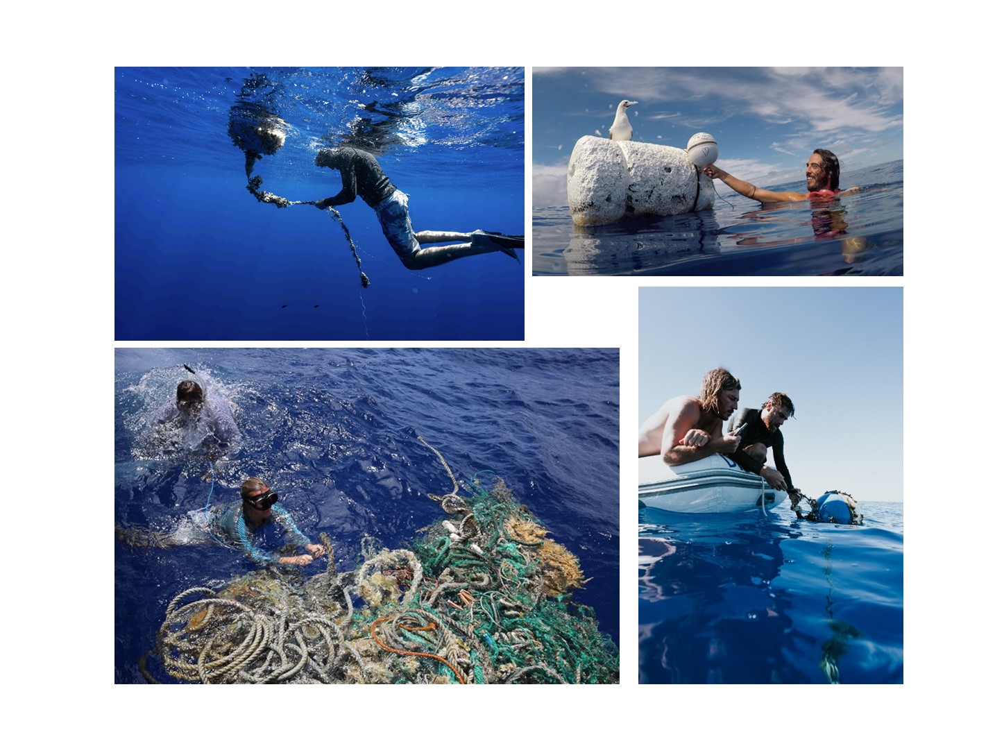 Citizen science in FloatEco and GO-SEA projects