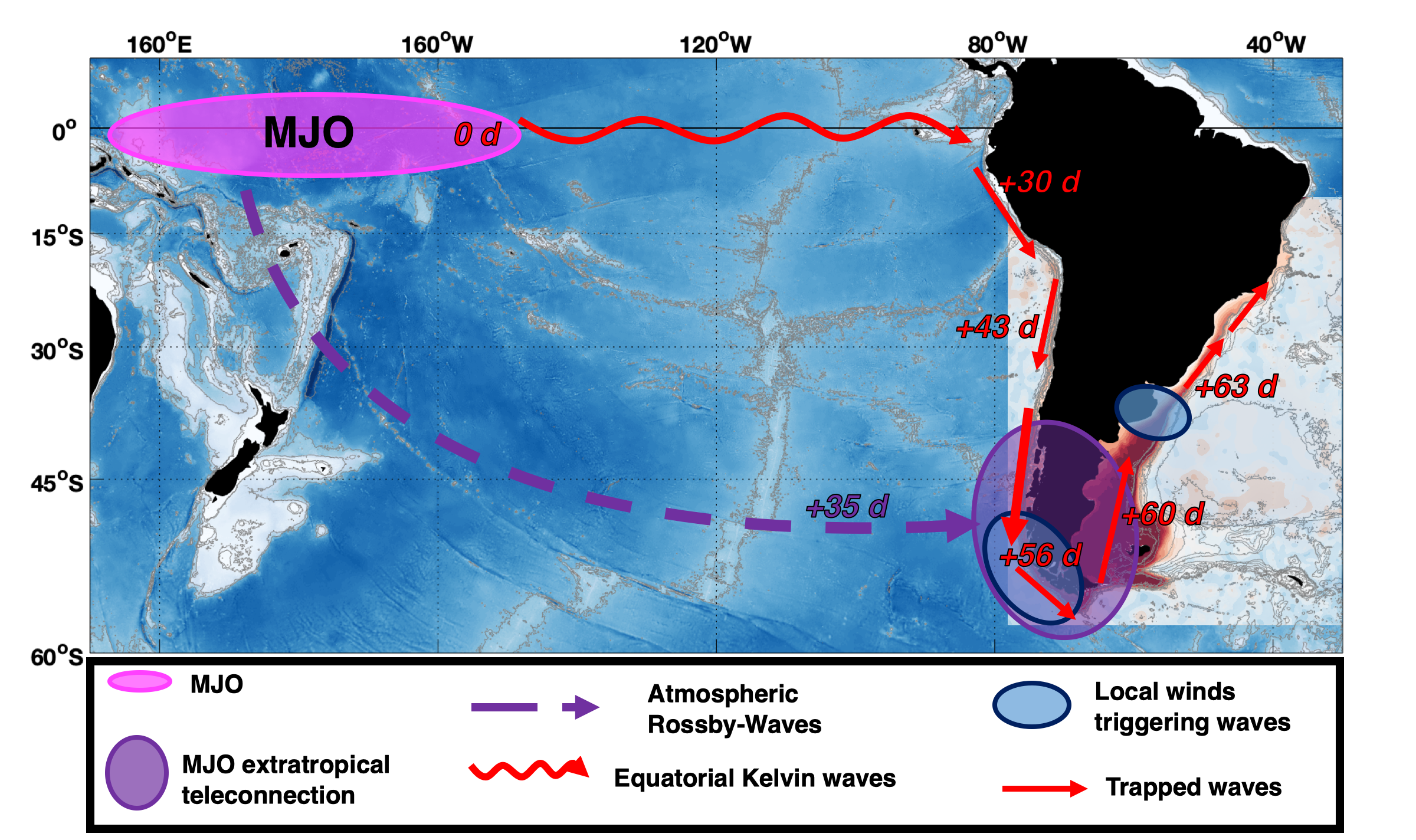 Topographically Trapped Waves around South America with periods between 40 and 130 days in a global ocean reanalysis