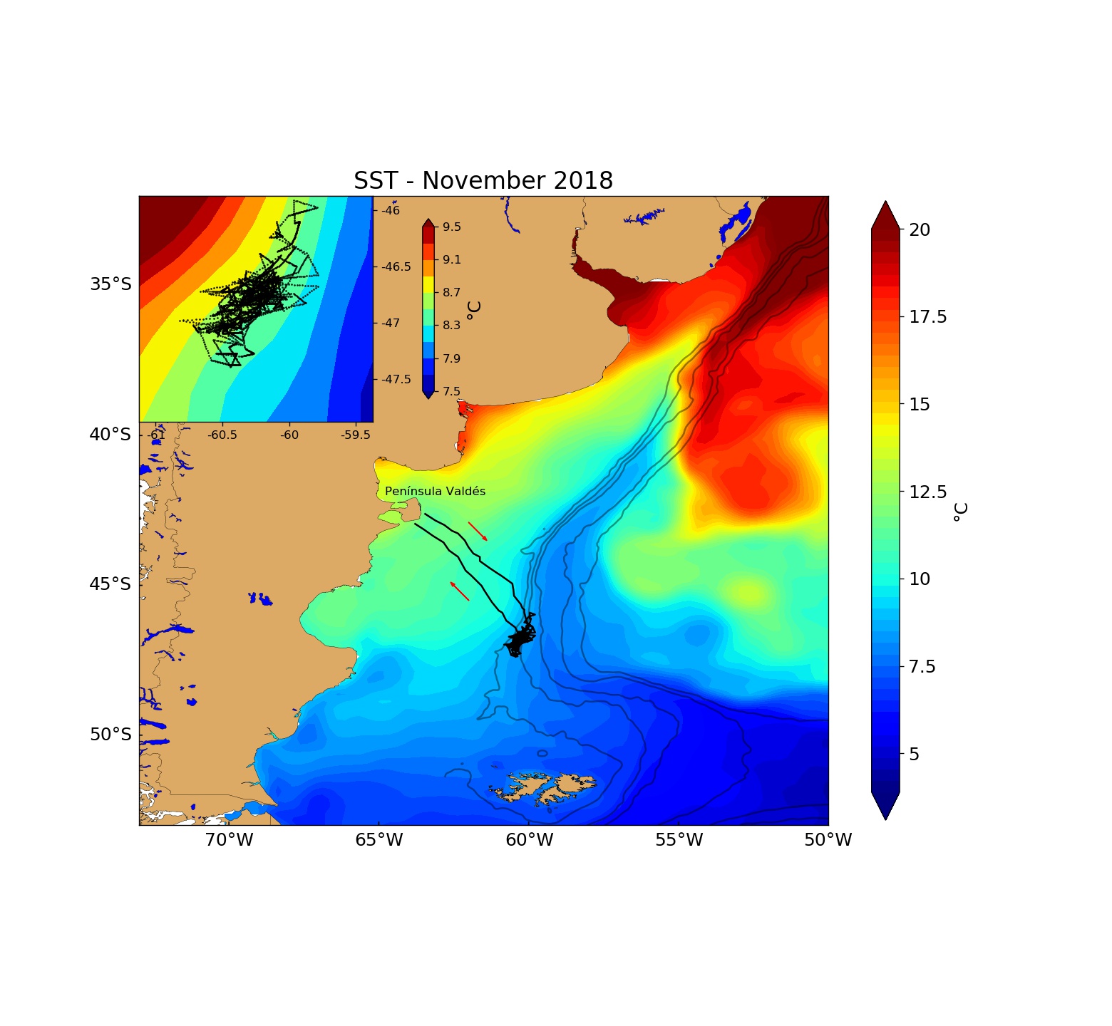 Southern elephant seal (Mirounga Leonina) diving and foraging behavior in the Patagonian slope