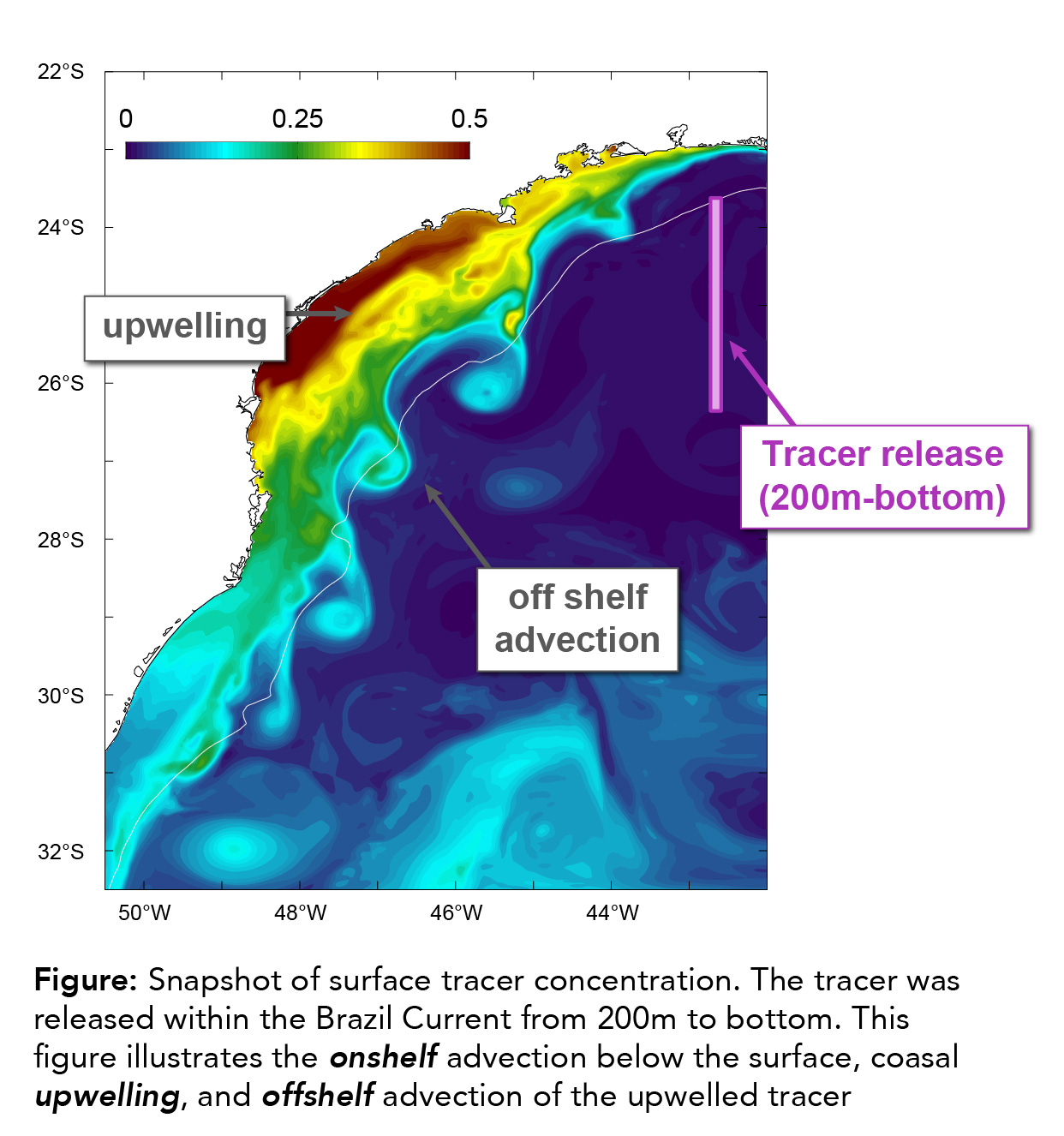 Circulation and Cross-Shelf Exchanges in the Northern shelf of the Southwest Atlantic